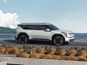 Are There Any 3 Row Electric Suvs